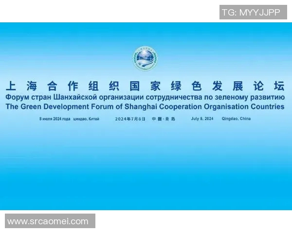 以联盟为中心推动全球合作新模式探索与实践 以联盟为中心推动全球合作新模式探索与实践