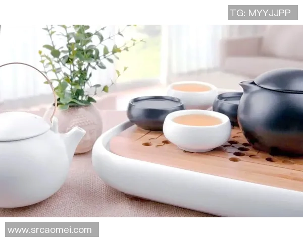 茶具文化的传承与创新探索:从传统到现代的美学与实用融合 茶具文化的传承与创新探索:从传统到现代的美学与实用融合