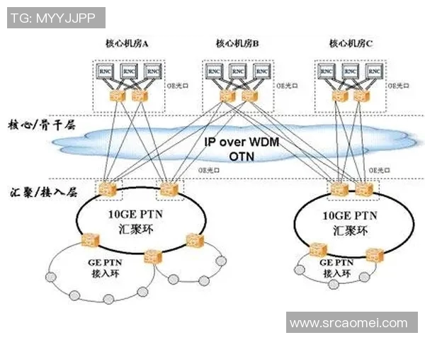 武汉滑板队的成功运营策略与发展模式深度分析