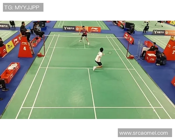 重庆羽毛球队整体压制现象分析及其对羽毛球发展的影响探讨 重庆羽毛球队整体压制现象分析及其对羽毛球发展的影响探讨