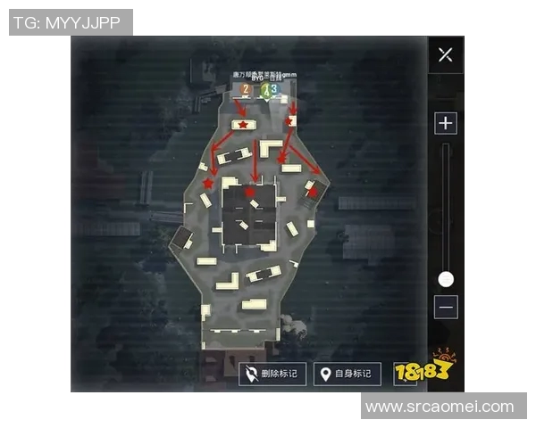 和平精英战术深度解析：RNG团队合作与策略创新的成功之道