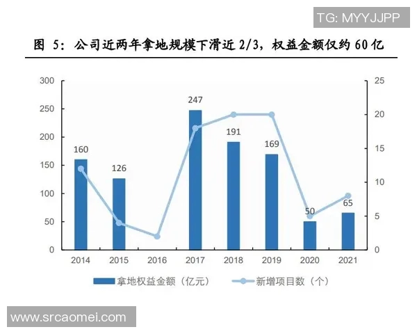 杭州排球队近期状态分析与备战策略探讨